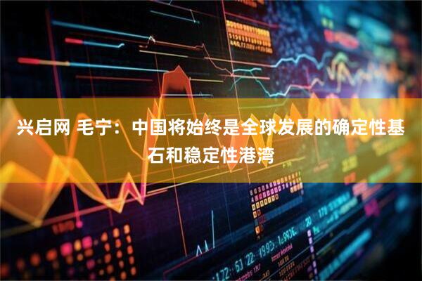 兴启网 毛宁：中国将始终是全球发展的确定性基石和稳定性港湾