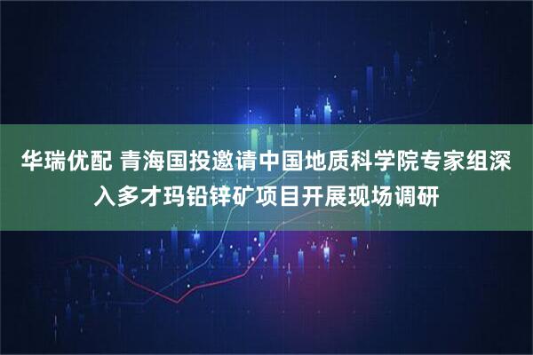 华瑞优配 青海国投邀请中国地质科学院专家组深入多才玛铅锌矿项目开展现场调研