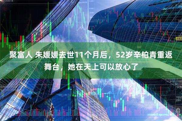 聚富人 朱媛媛去世11个月后,52岁辛柏青重返舞台,她在天上可以放心了